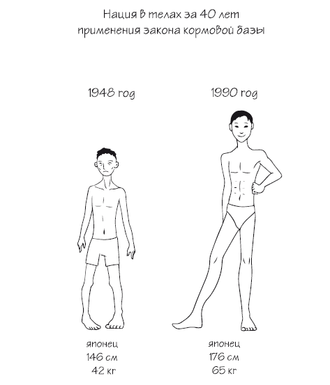 Иллюстрация к книге — Как химичит наш организм: принципы правильного питания [i_002.jpg]