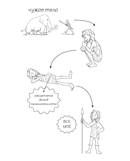 Иллюстрация к книге — Как химичит наш организм: принципы правильного питания [i_003.jpg]