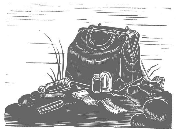 Иллюстрация к книге — Странные вещи [i_006.jpg]