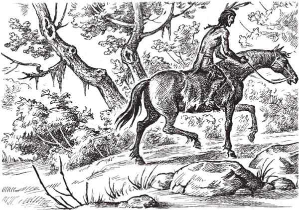 Иллюстрация к книге — Харка, сын вождя [i_037.jpg]