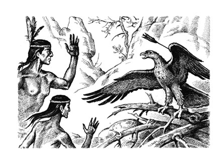 Иллюстрация к книге — Харка, сын вождя [i_043.jpg]