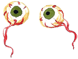 Иллюстрация к книге — Самая страшная кругосветка [i_011.jpg]