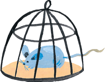 Иллюстрация к книге — Самая страшная кругосветка [i_061.jpg]