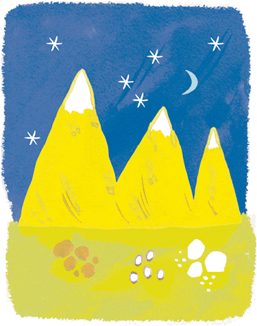 Иллюстрация к книге — Самая страшная кругосветка [i_123.jpg]