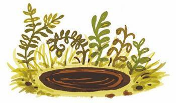 Иллюстрация к книге — Рыцарь Родриго и его оруженосец [i_016.jpg]