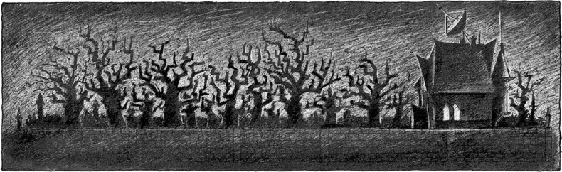 Иллюстрация к книге — Пунш желаний [i_041.jpg]