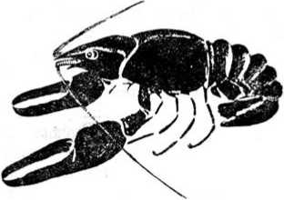 Иллюстрация к книге — Международный вагон [i_003.jpg]