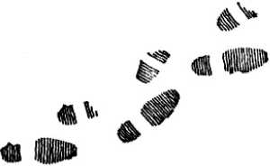 Иллюстрация к книге — Международный вагон [i_004.jpg]