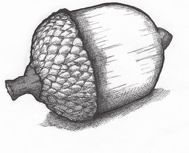 Иллюстрация к книге — Я считаю по 7 [i_007.jpg]