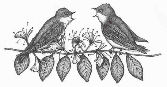 Иллюстрация к книге — Я считаю по 7 [i_017.jpg]