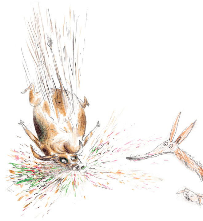 Иллюстрация к книге — Акулиска Враг Редиски и другие истории о Лисе и Поросёнке [i_012.jpg]