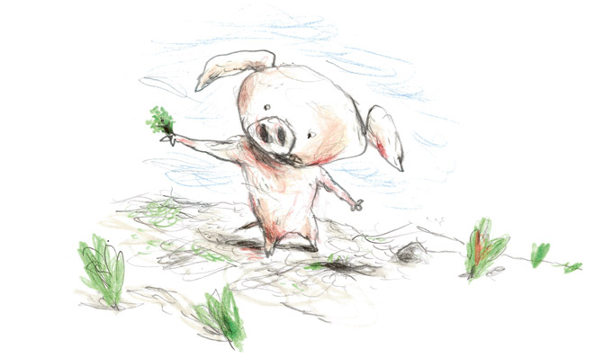 Иллюстрация к книге — Акулиска Враг Редиски и другие истории о Лисе и Поросёнке [i_018.jpg]