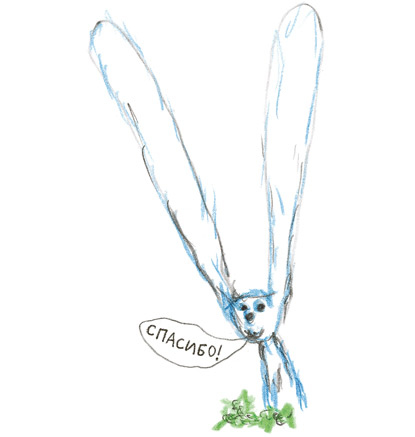 Иллюстрация к книге — Акулиска Враг Редиски и другие истории о Лисе и Поросёнке [i_025.jpg]