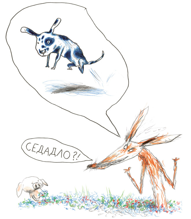 Иллюстрация к книге — Акулиска Враг Редиски и другие истории о Лисе и Поросёнке [i_026.jpg]