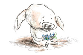 Иллюстрация к книге — Акулиска Враг Редиски и другие истории о Лисе и Поросёнке [i_027.jpg]