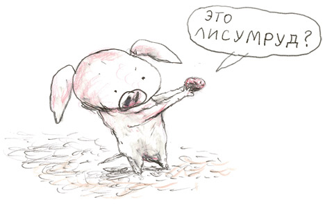 Иллюстрация к книге — Акулиска Враг Редиски и другие истории о Лисе и Поросёнке [i_044.jpg]