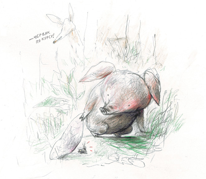 Иллюстрация к книге — Кафе «Птичий хвост» [i_012.jpg]