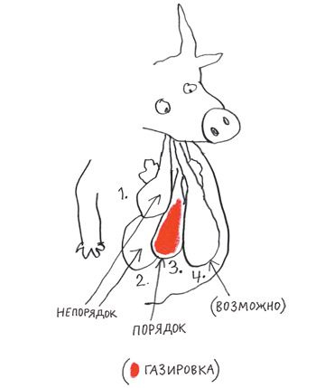 Иллюстрация к книге — Как Поросёнок болел леопардозом [i_026.jpg]