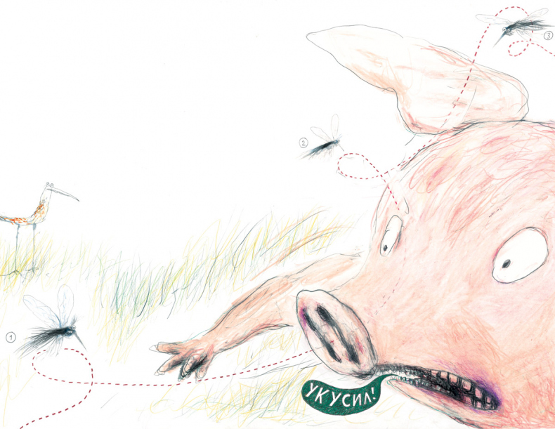 Иллюстрация к книге — Битва с комарами [i_004.jpg]