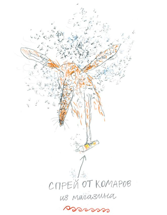 Иллюстрация к книге — Битва с комарами [i_011.jpg]