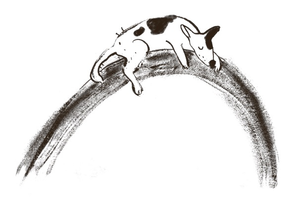 Иллюстрация к книге — Рецепты еврейской мамы [i_014.jpg]