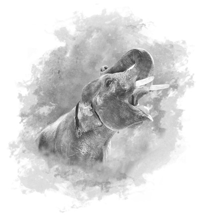 Иллюстрация к книге — Непал. Винтажный роман [i_003.jpg]