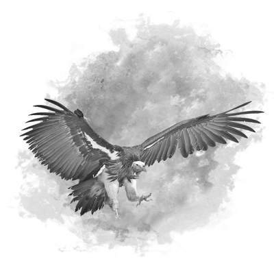 Иллюстрация к книге — Непал. Винтажный роман [i_006.jpg]