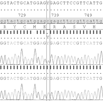 Иллюстрация к книге — Мальчик, который не переставал расти… и другие истории про гены и людей [i_009.jpg]