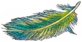 Иллюстрация к книге — Фрау Волле и аромат шоколада [i_027.jpg]