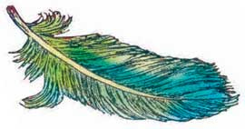 Иллюстрация к книге — Фрау Волле и аромат шоколада [i_031.jpg]