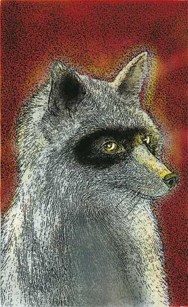 Иллюстрация к книге — Фрау Волле и аромат шоколада [i_037.jpg]