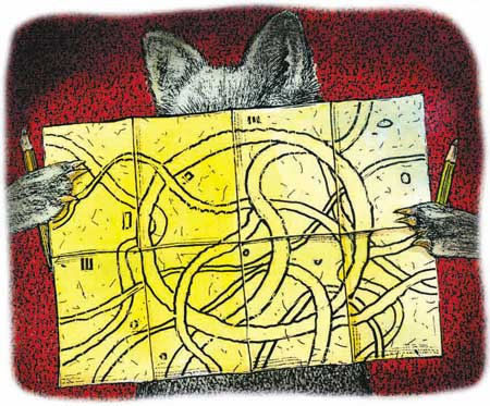 Иллюстрация к книге — Фрау Волле и аромат шоколада [i_042.jpg]