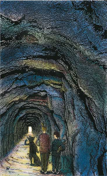 Иллюстрация к книге — Фрау Волле и аромат шоколада [i_045.jpg]