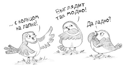 Иллюстрация к книге — Уши вверх! [i_045.jpg]