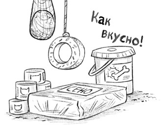 Иллюстрация к книге — Уши вверх! [i_053.jpg]