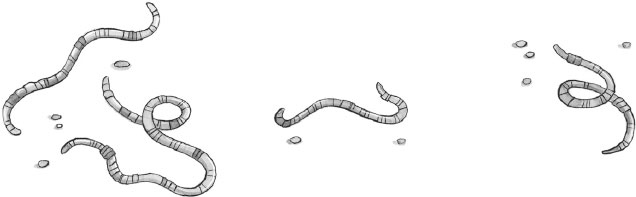 Иллюстрация к книге — Чудовище и Бетани [i_010.jpg]