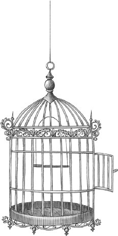 Иллюстрация к книге — Чудовище и Бетани [i_037.jpg]