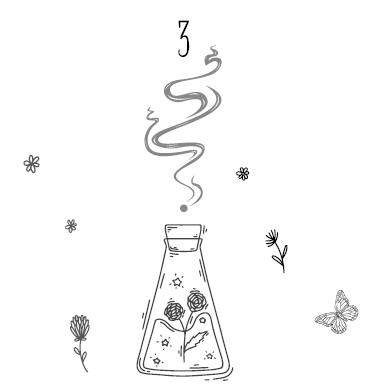 Иллюстрация к книге — Секрет «Тенистых Песков» [i_006.jpg]