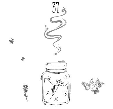 Иллюстрация к книге — Секрет «Тенистых Песков» [i_040.jpg]