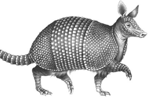 Иллюстрация к книге — Опасные волны [i_001.jpg]