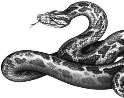 Иллюстрация к книге — Опасные волны [i_006.jpg]