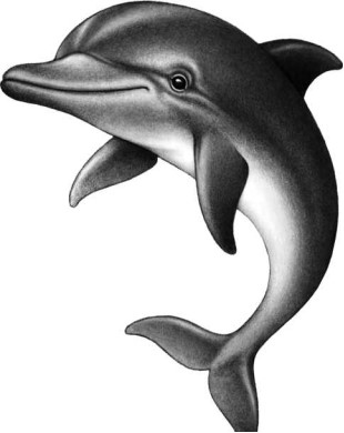 Иллюстрация к книге — Опасные волны [i_009.jpg]