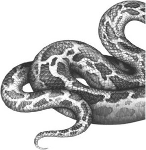 Иллюстрация к книге — Опасные волны [i_011.jpg]