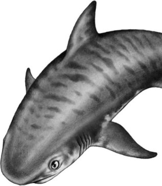 Иллюстрация к книге — Опасные волны [i_013.jpg]