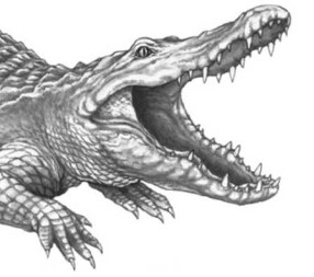 Иллюстрация к книге — Опасные волны [i_017.jpg]