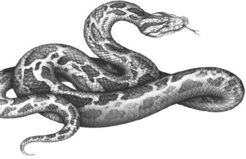 Иллюстрация к книге — Опасные волны [i_018.jpg]