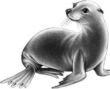 Иллюстрация к книге — Опасные волны [i_024.jpg]