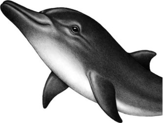 Иллюстрация к книге — Опасные волны [i_027.jpg]