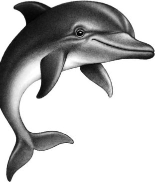 Иллюстрация к книге — Опасные волны [i_029.jpg]