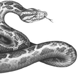 Иллюстрация к книге — Опасные волны [i_030.jpg]